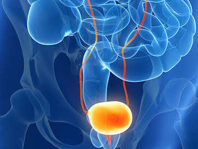 Urology symptoms at EPIC International Hospitals
